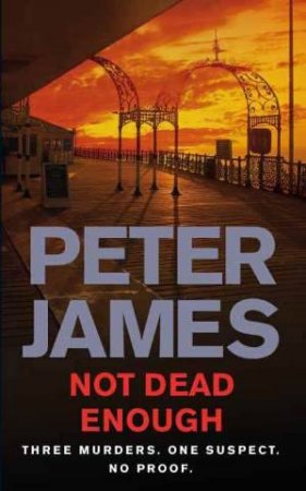 Not Dead Enough by Peter James