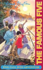 Five Fall Into Adventure