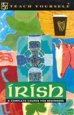 Teach Yourself Irish