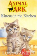 Kittens In The Kitchen