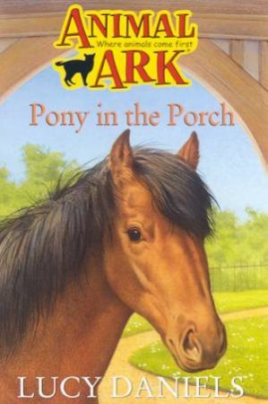 Pony In The Porch by Lucy Daniels