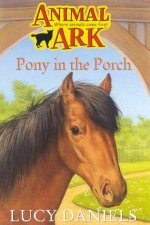 Pony In The Porch