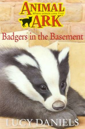 Badgers In The Basement by Lucy Daniels