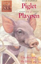 Piglet In A Playpen