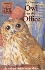 Owl In The Office