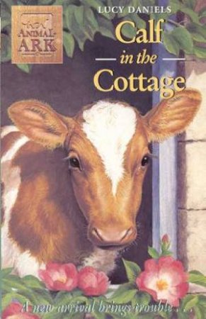 Calf In The Cottage by Lucy Daniels