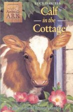 Calf In The Cottage