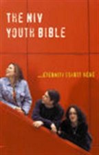 Niv Youth Bible