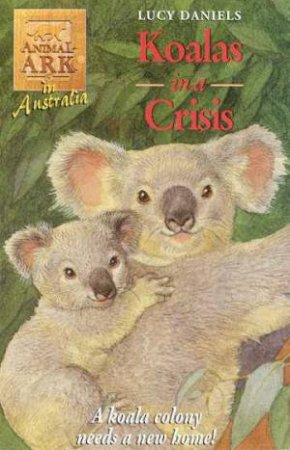In Australia: Koalas In A Crisis by Lucy Daniels