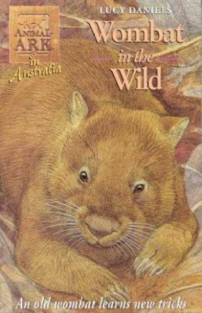 In Australia: Wombat In The Wild by Lucy Daniels