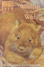 In Australia Wombat In The Wild
