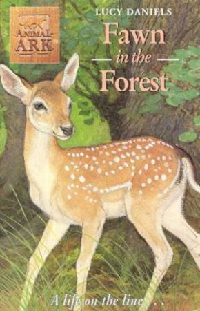 Fawn In The Forest by Lucy Daniels