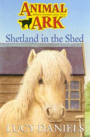 Shetland In The Shed by Lucy Daniels