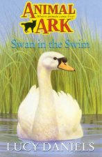 Swan In The Swim