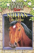 Sultan The Patient