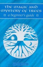 A Beginners Guide The Magic And Mystery Of Trees