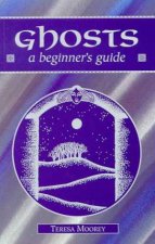 A Beginners Guide Ghosts