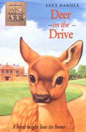 Deer On The Drive by Lucy Daniels
