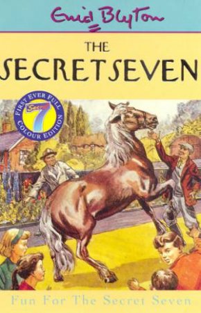 Fun For The Secret Seven - Millennium Colour Edition by Enid Blyton