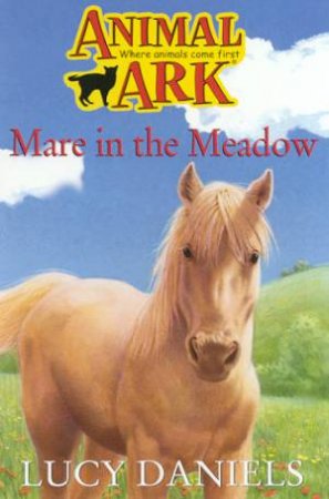 Mare In The Meadow by Lucy Daniels