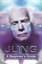A Beginners Guide Jung