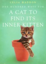 One Hundred Ways For A Cat To Find Its Inner Kitten