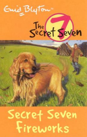 Secret Seven Fireworks - Revised Edition by Enid Blyton