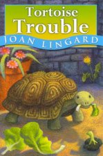 Hodder Story Book Tortoise Trouble