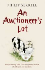 An Auctioneers Lot