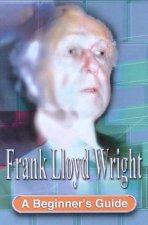 A Beginners Guide Frank Lloyd Wright