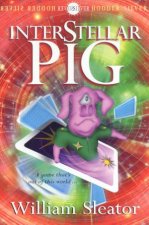 Hodder Silver Interstellar Pig