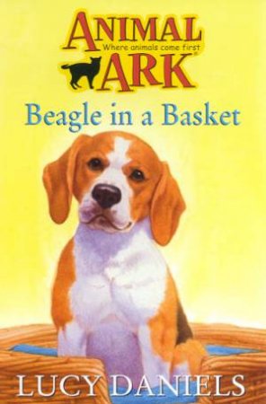 Beagle In The Basket by Lucy Daniels