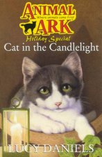 Cat In The Candlelight