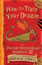 Hiccup Horrendous Haddock III How To Train Your Dragon