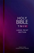 TNIV Bible Large Print Edition