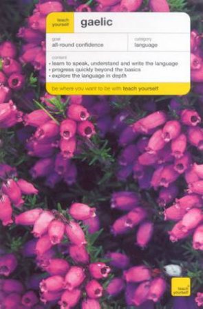Teach Yourself Gaelic by Boyd Robertson & Iain Taylor