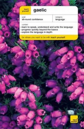 Teach Yourself Gaelic - Book & Tape by Boyd Robertson & Iain Taylor