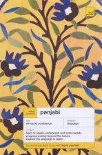 Teach Yourself Panjabi  Book  Cassette