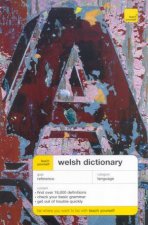 Teach Yourself Welsh Dictionary