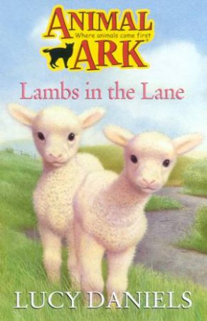 Lambs In The Lane by Lucy Daniels