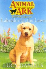 Labrador On The Lawn