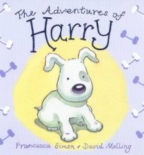 The Adventures Of Harry