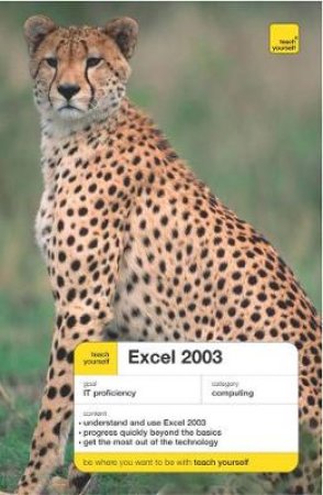 Teach Yourself: Excel 2003 by Moira Stephen