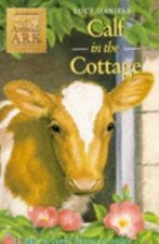 Calf In The Cottage