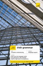 Teach Yourself Irish Grammar
