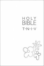 TNIV Joy Bible