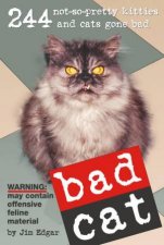 Bad Cat 244 NotSoPretty Kitties and Cats Gone Bad