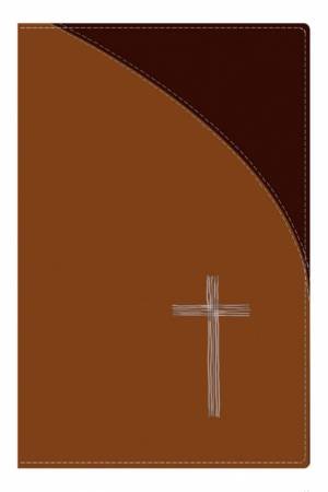 TNIV Popular Tan Soft-Tone With Bible Guide by International Bible Society