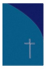 TNIV  Popular Blue SoftTone With Bible Guide