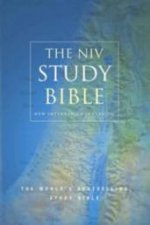 NIV Study Bible Hardback